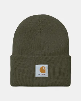 Carhartt Acrylic Watch Hat Plant