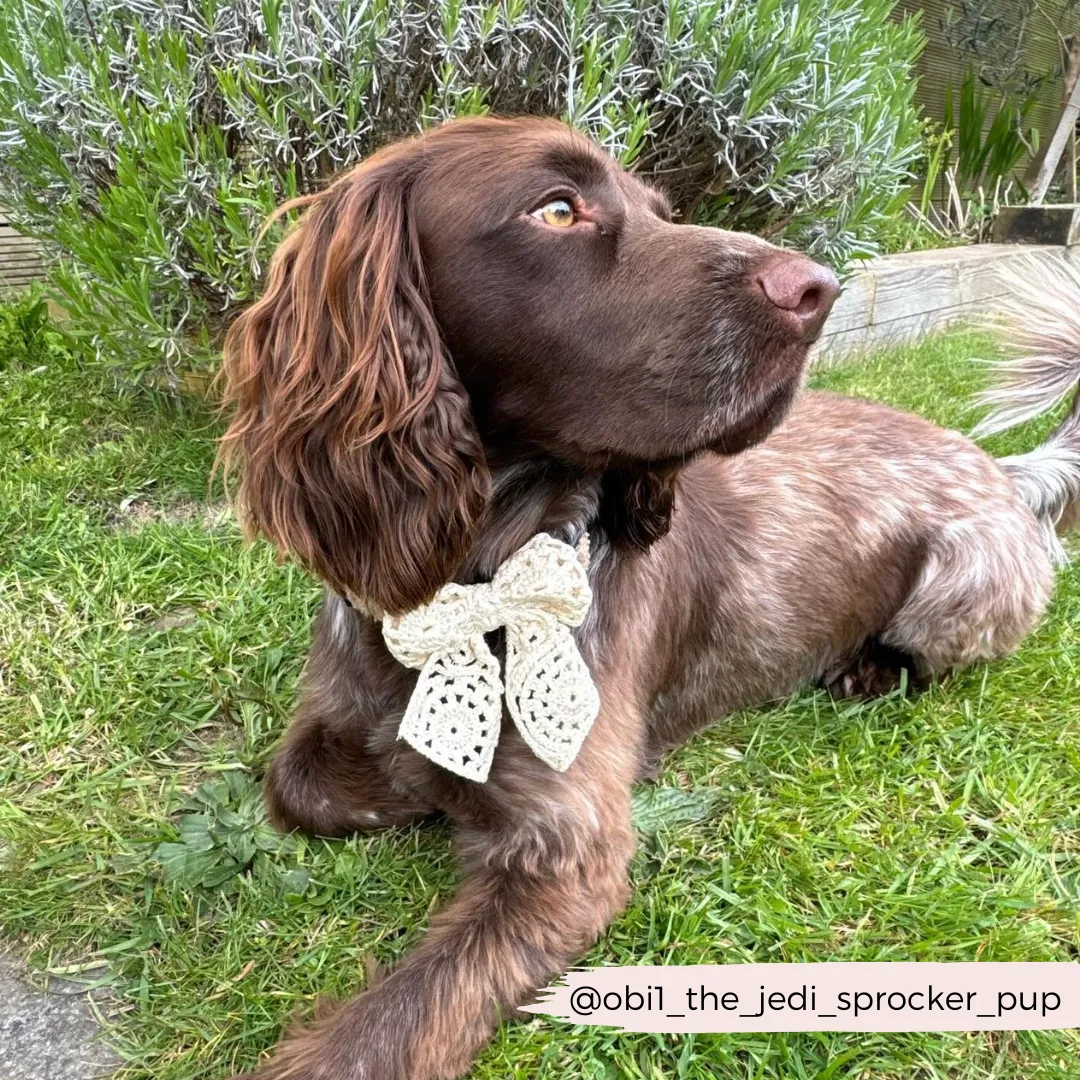 Festival Crochet Sailor Bow Tie