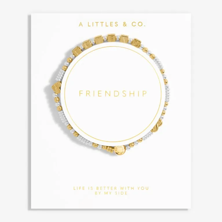 Friendship Bracelet