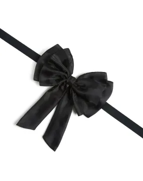 Organza Bow Ribbon Tie